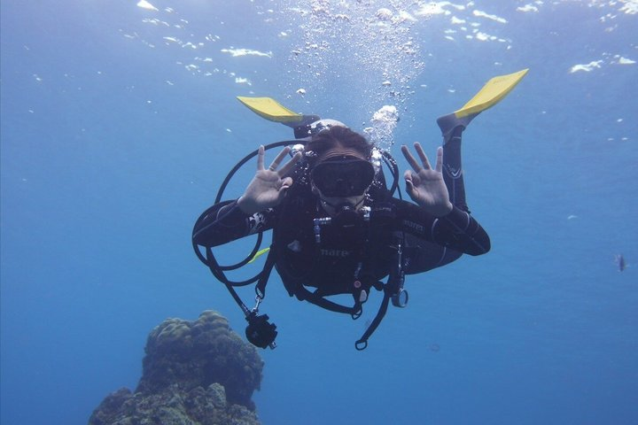 Panama City Scuba Diving Activity for Beginners - Photo 1 of 19